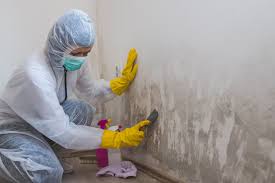 Best Biohazard Mold Removal  in Triangle, VA